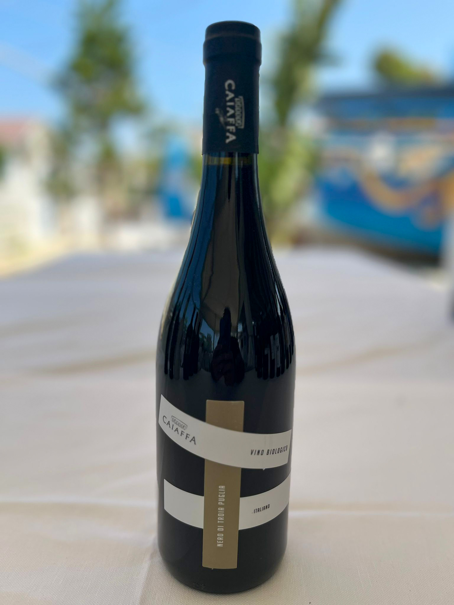 Caiaffa Nero di Troia