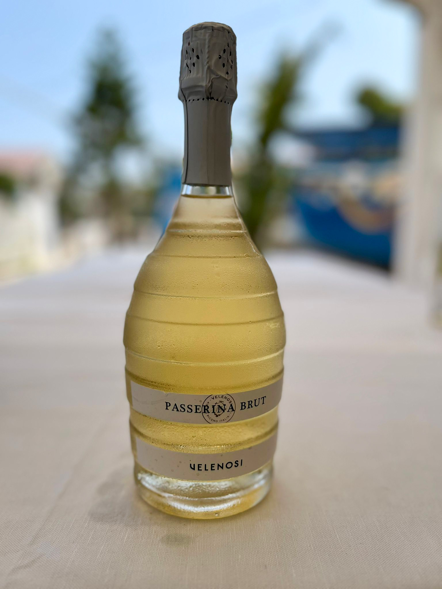 Passerina Brut