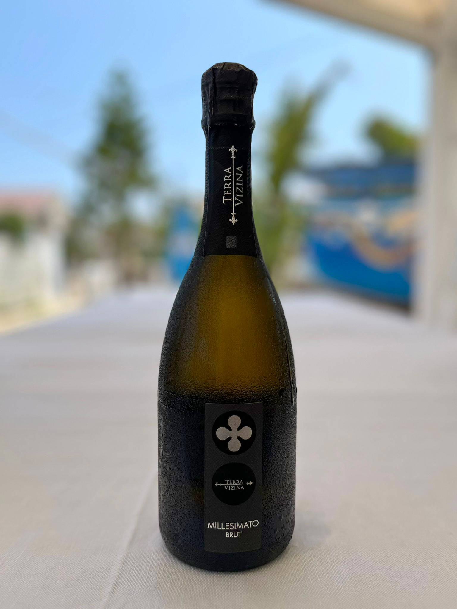 Terra Vizina Millesimato Brut