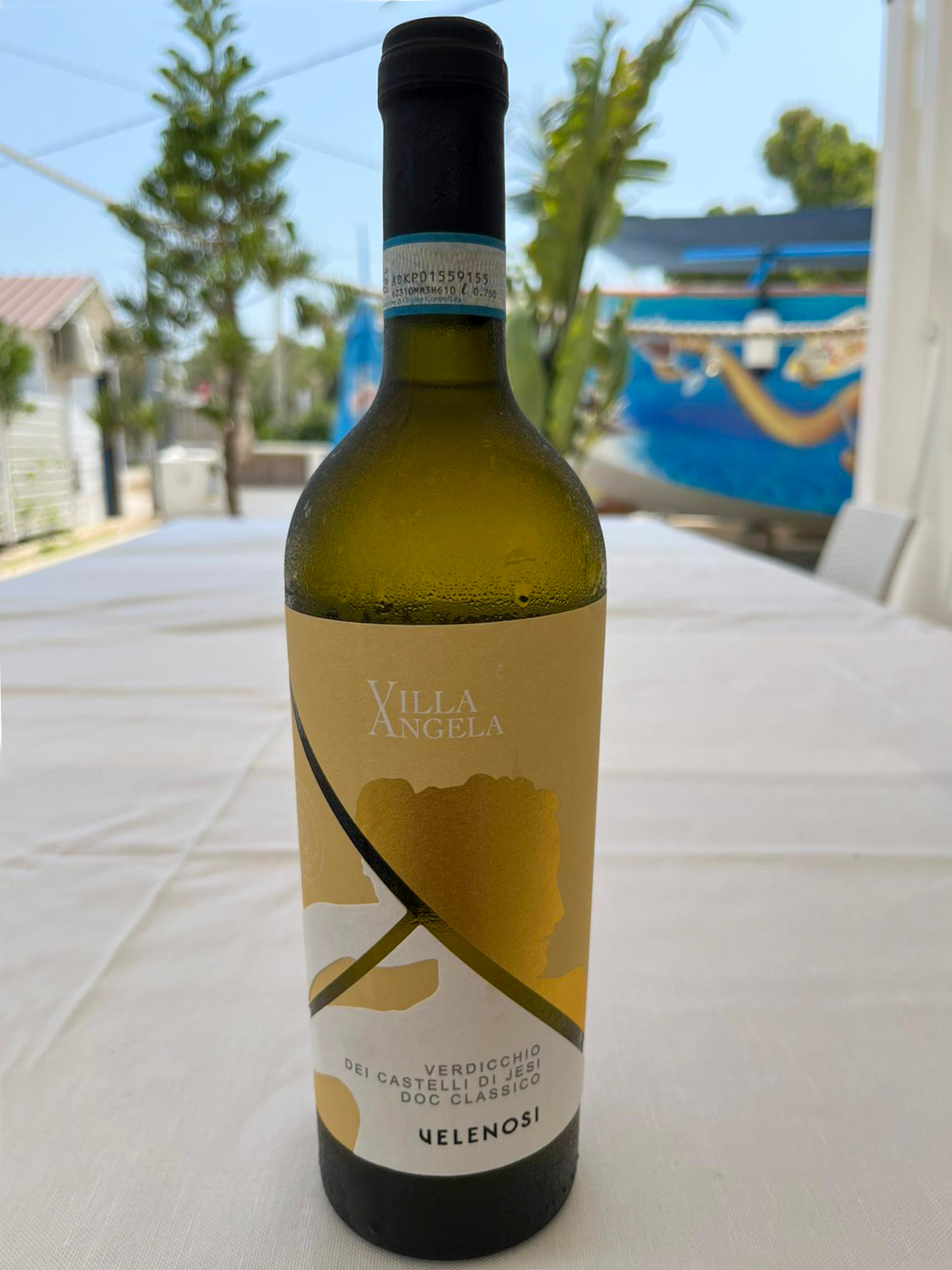 Verdicchio