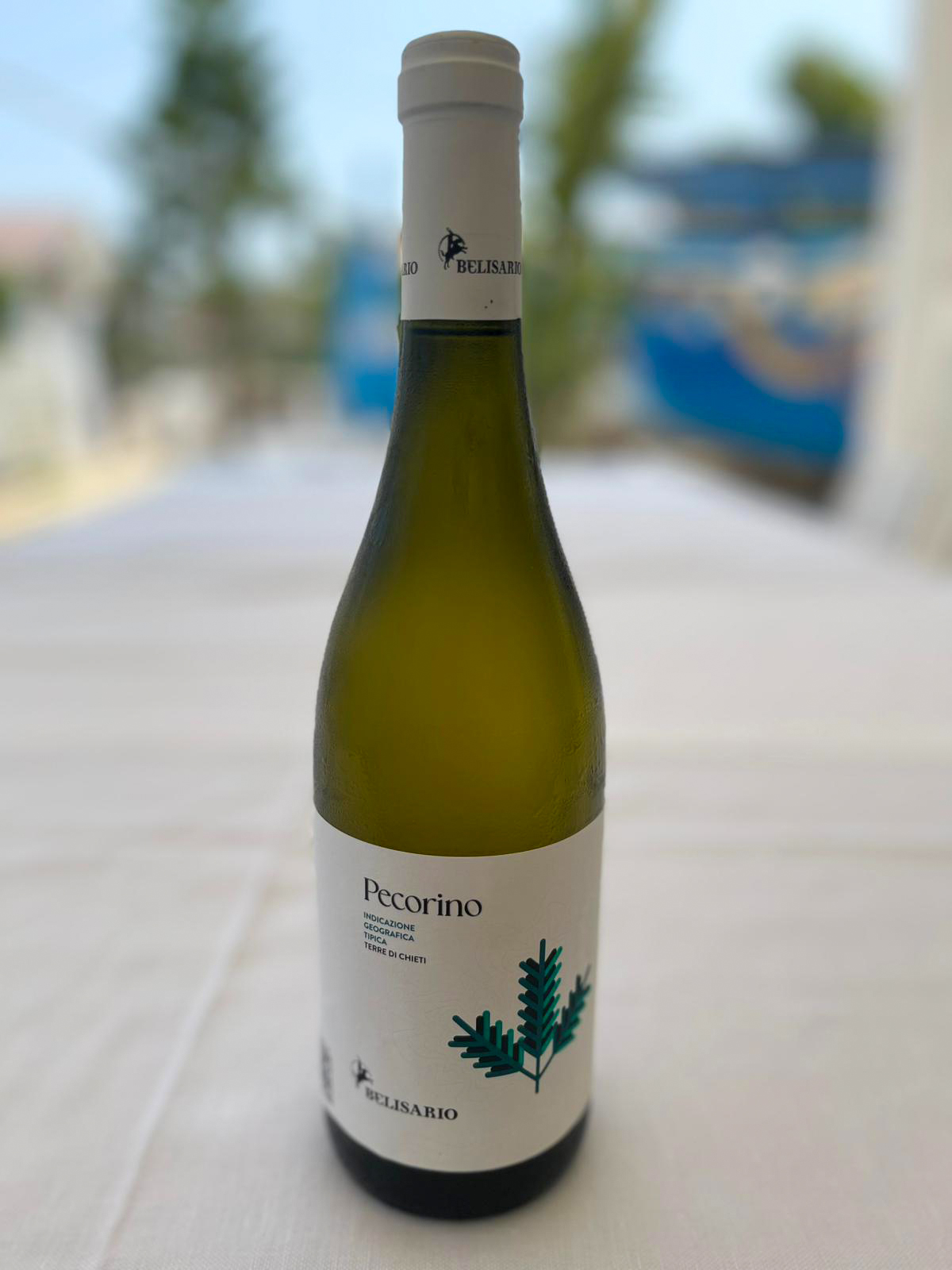 Belisario Pecorino IGT Terre di Chieti