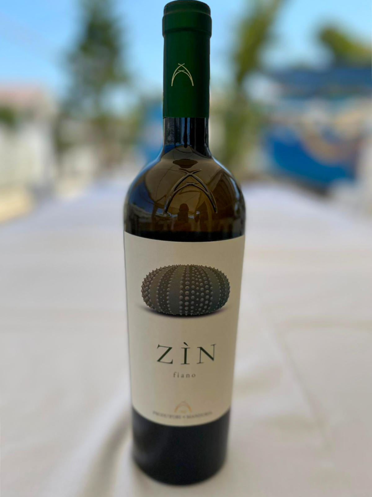 Zin