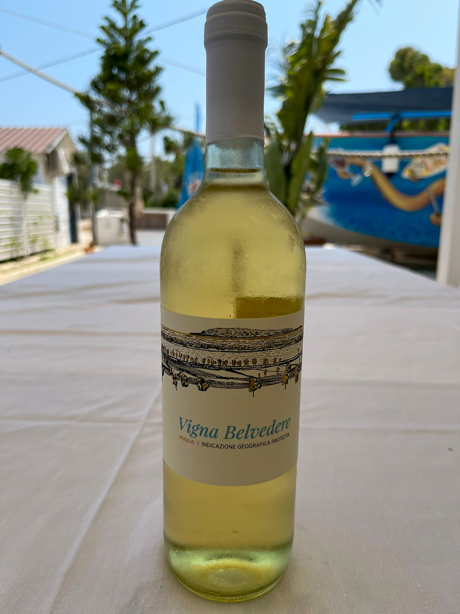 Vigna Belvedere